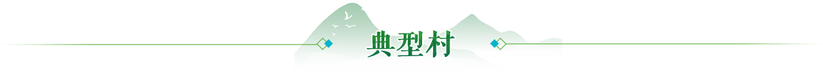 典型村